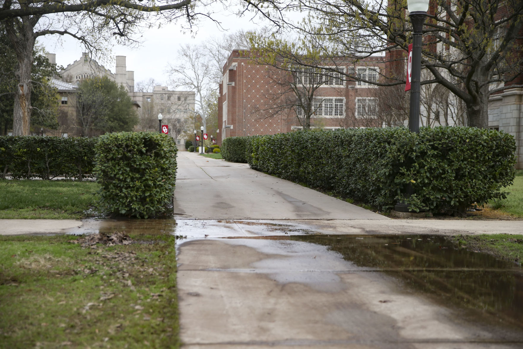 Empty campus